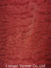 Fornir drewniany Sapelle Pommele barwiony na czerwono o szerokości 10 cm do projektowania wnętrz