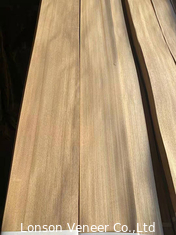 Naturalna grubość forniru z drewna wiązu prostego 0,50 mm